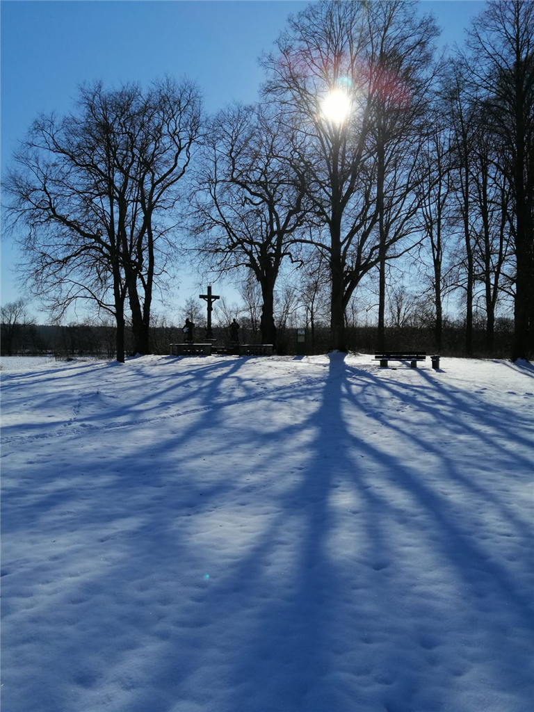 Sonnenaufgang und Ampel IMG 20211110 065419